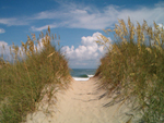 Pathway to the Beach