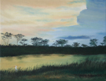 Pea Island Landscape